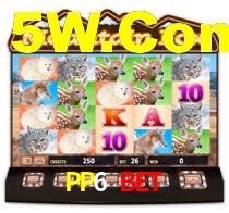 PP6 Com Plataforma